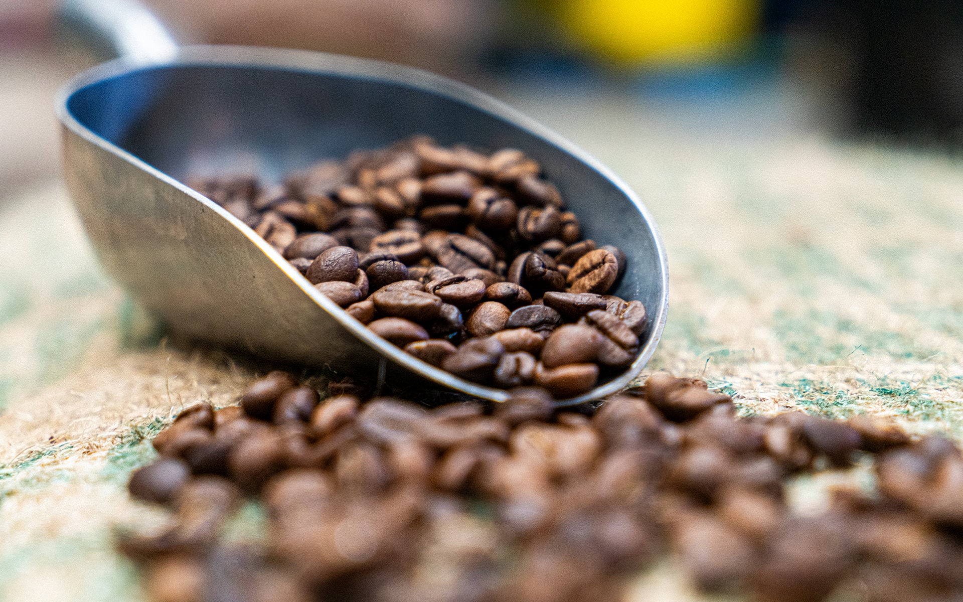 Wholesale Coffee - Grounds 4 Compassion